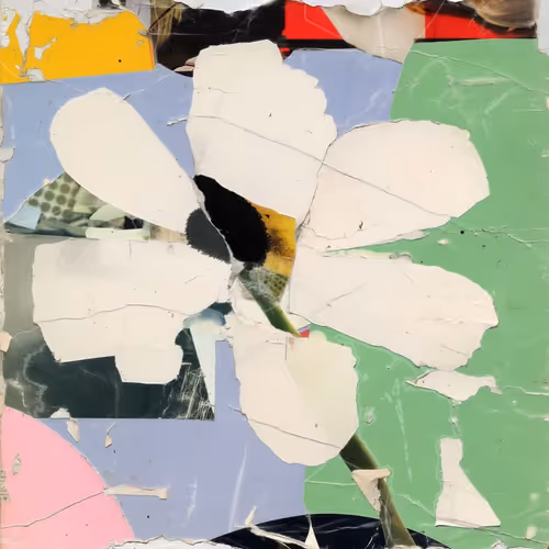 Fragments of Growth