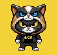 HATS n' daCATs