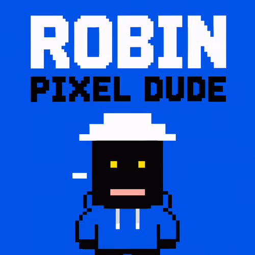 ROBIN PIXEL DUDE