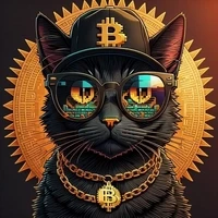 ZkCats ERA