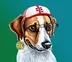 Cool Doge logo