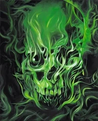 Kauai Walmart (Green Skull)