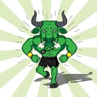 RUN BULLS