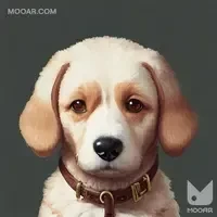 Dog ＃collection