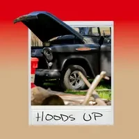 HOODS UP 3D Polaroid
