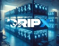 DRIPX Miners