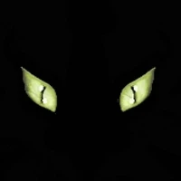 CatBoners #5886