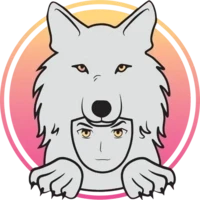 Saitama Studios Collection
