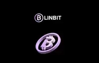 LINBIT Miner logo