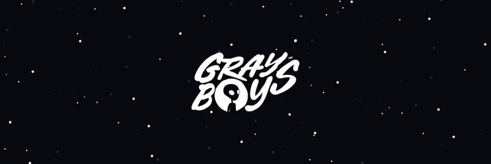 Gray Boys background