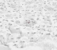 Wolfgang Gartner x Voodoo Bownz