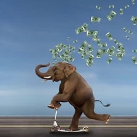 Elephants' lives matter