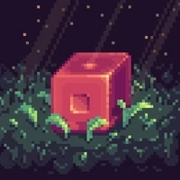 Genuine Box