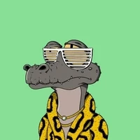 Just a Chill Gators