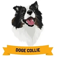 DogeCollie
