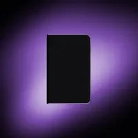 Art On Ledger Stax Mint Pass ＃2873