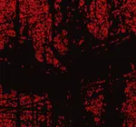 Lascaux Editions