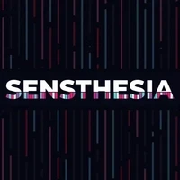 Sensthesia by Zeblocks
