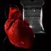 No Lovesong, V Morgana/BMB Yezus logo