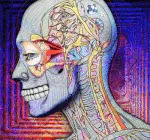 Patchworks Art