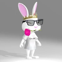 CHuBBiT_Official_Collection_V2