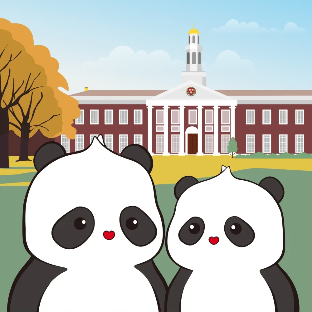 Pandas Travel #214