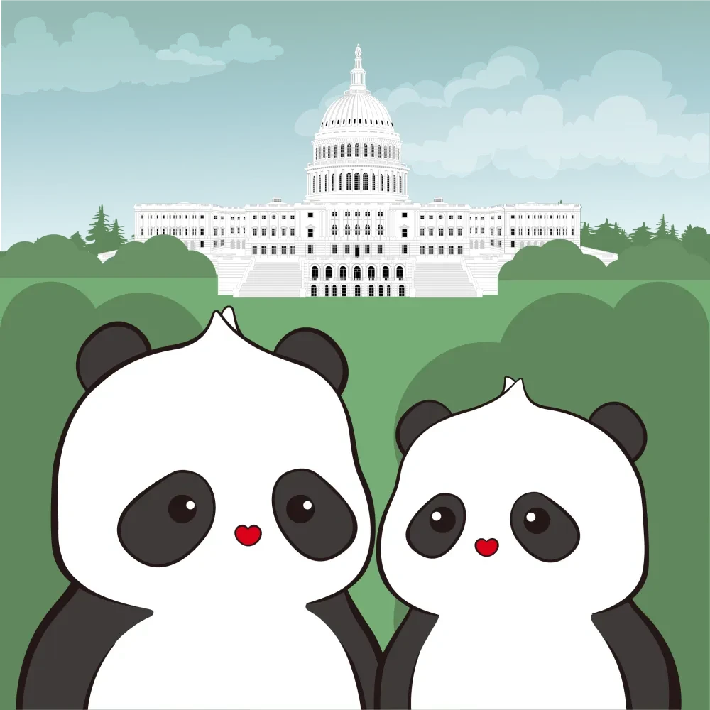 Pandas Travel #255