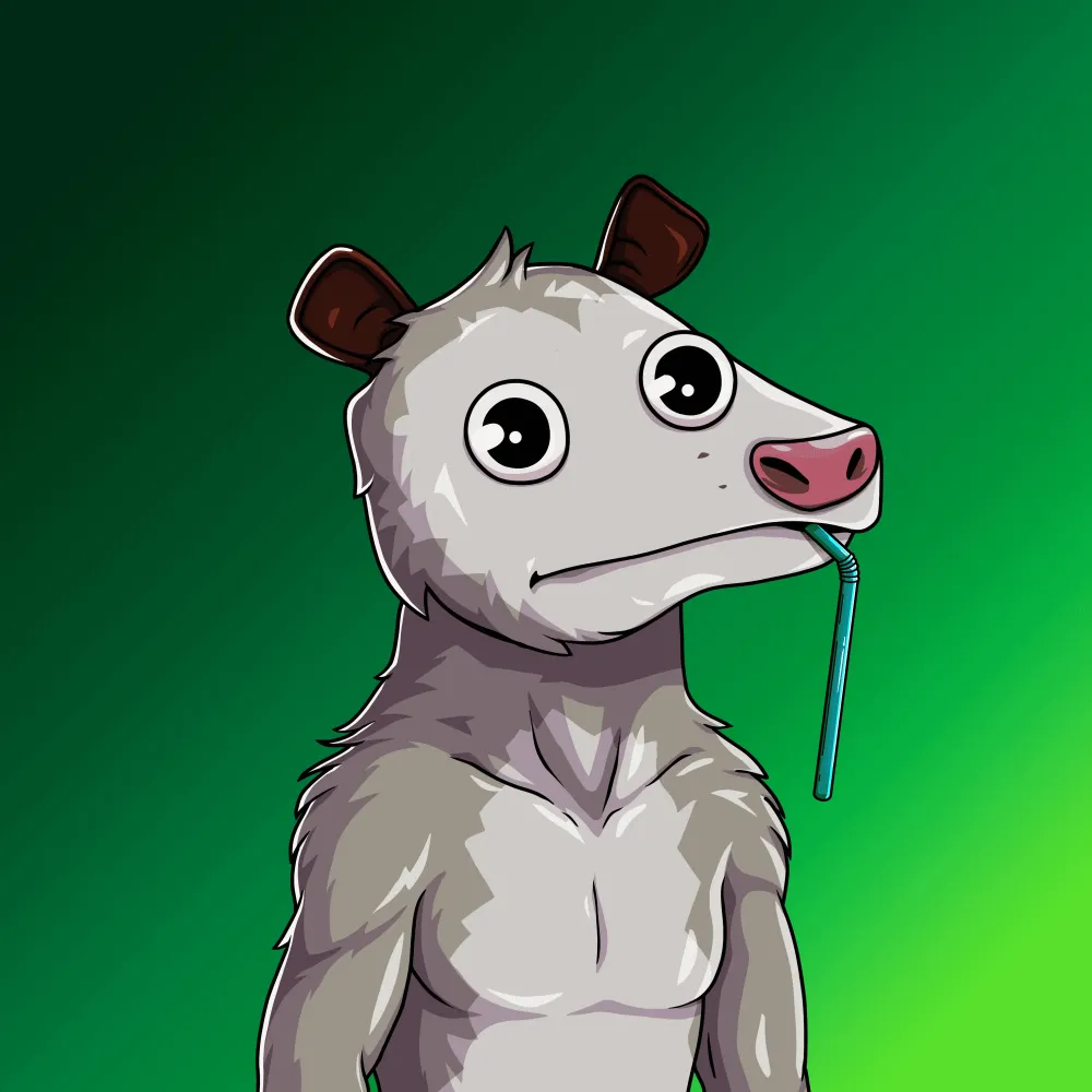WTF Opossum #975