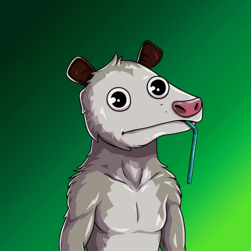 WTF Opossum #975
