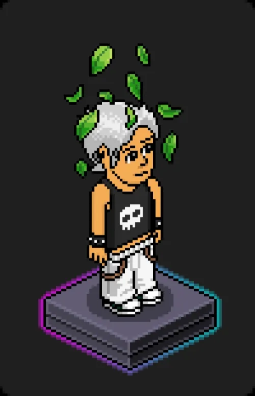 Habbo Crafted Avatar #1667