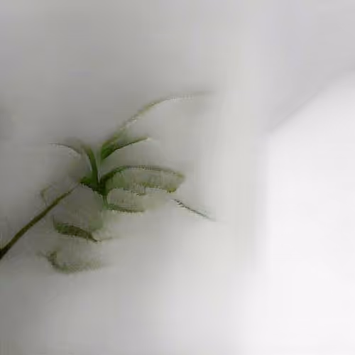 Artifacts1 - a plant in a white room #190042