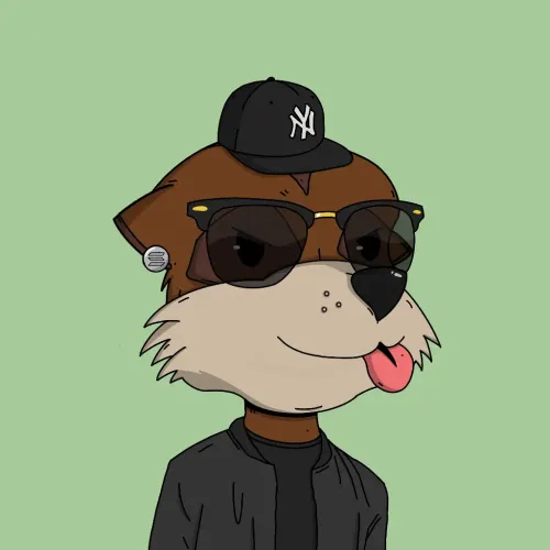 Meerkat #5354