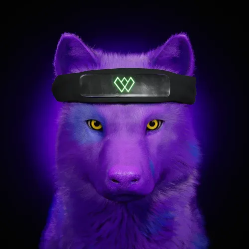 Wolf #2764