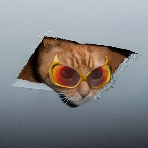 CEILING CAT #1864