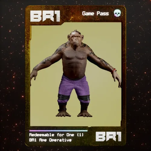 BR1 Character #583