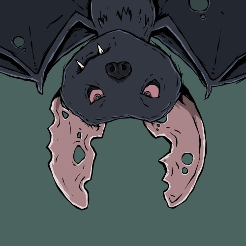Moon Bats #6578