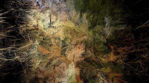 En Base a Ciclos (Abigail de Andrade) #4