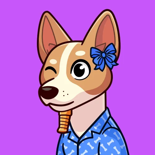 Basenji #562