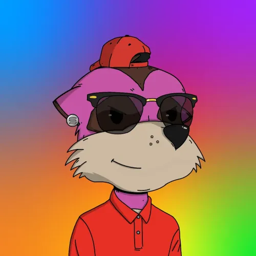 Meerkat #6672