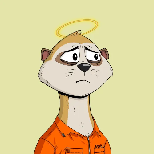 Worried Meerkat #1140
