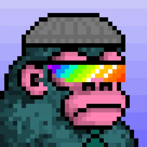 CyberKong ＃768