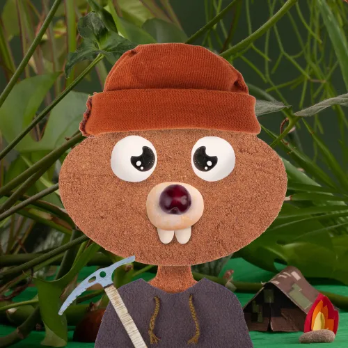 Trailhead #342