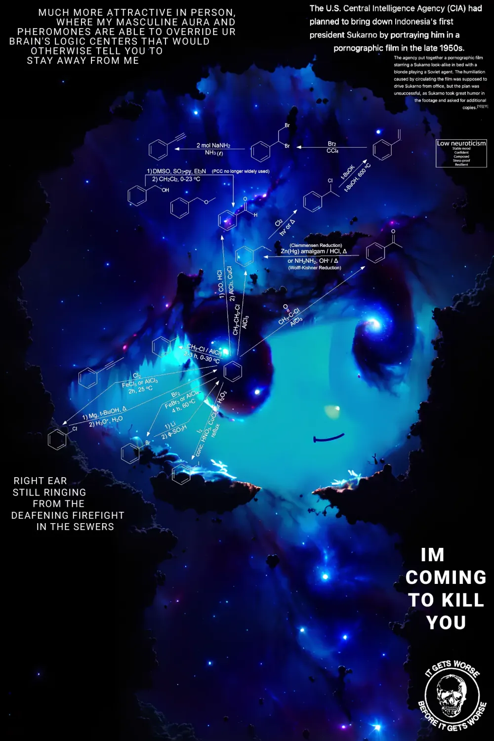SchizoPoster #1128