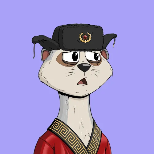 Worried Meerkat #199