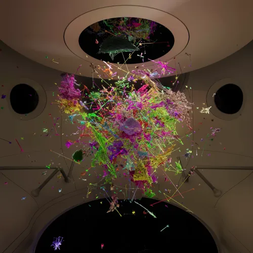 DATAUNIVERSE—INSPIRATION4-IMAGE #5238