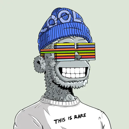 y00t #14262