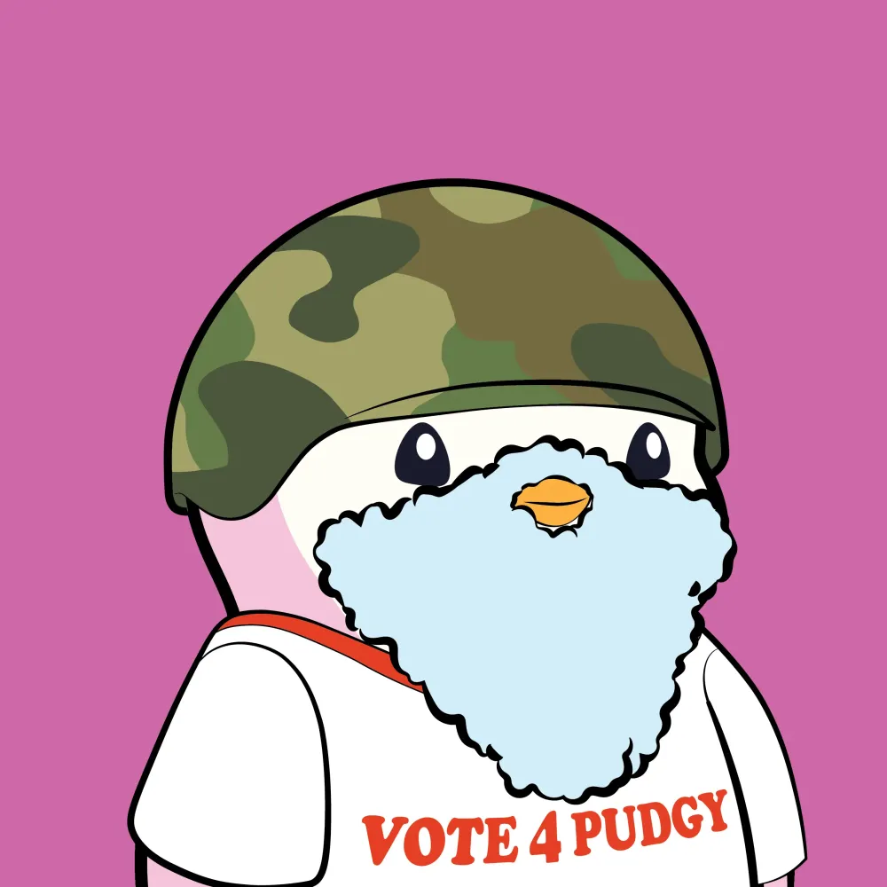 Pudgy Penguin #242