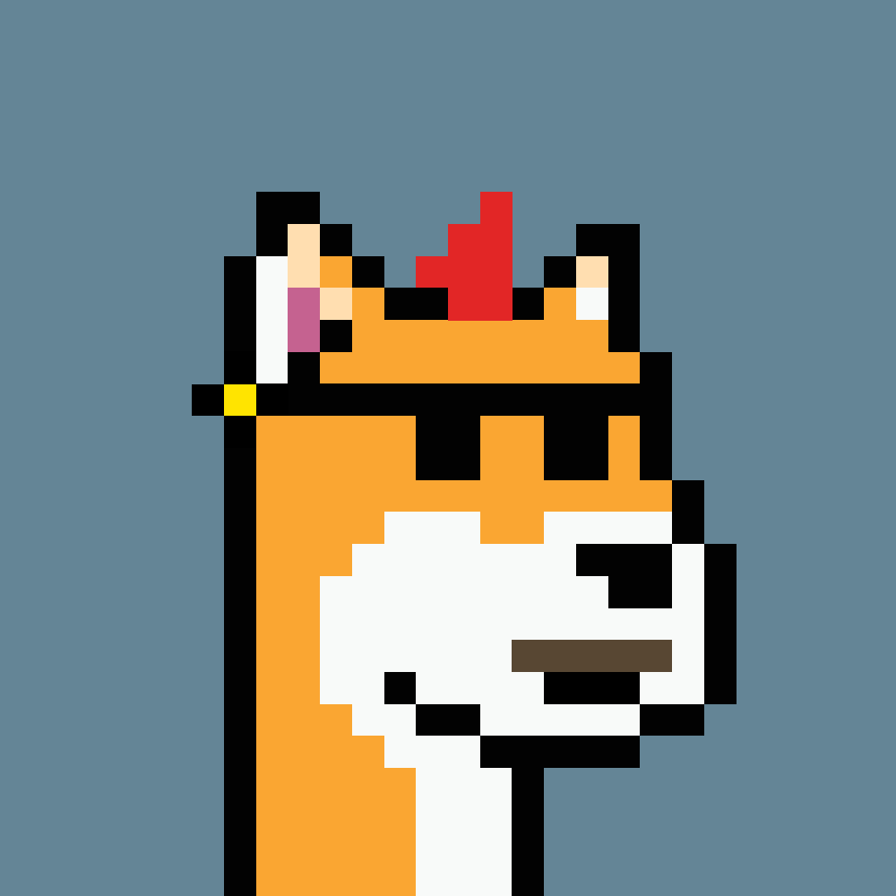 Doge #1248 (Inscription #536427)