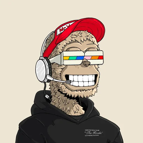 y00t #1662