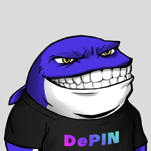 Whale 305